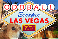 Play Oddball Escapes Las Vegas
