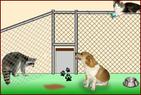 Play Animal Shelter Escape