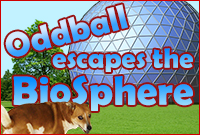 Play Oddball Escapes the Biosphere